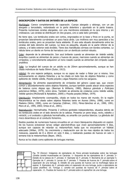 0. introductorias agrad. y estruc - Acceda - Universidad de Las ...
