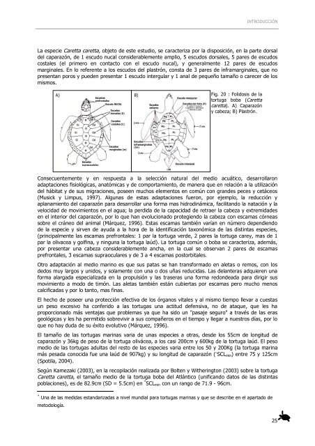 0. introductorias agrad. y estruc - Acceda - Universidad de Las ...