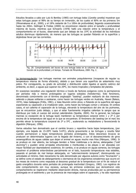 0. introductorias agrad. y estruc - Acceda - Universidad de Las ...