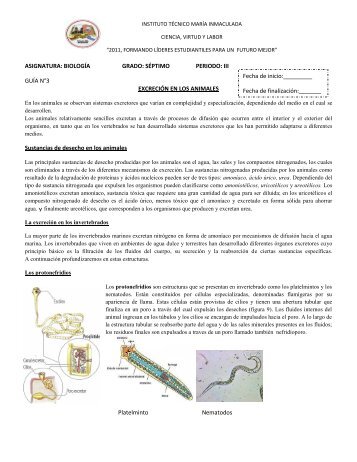 la excreción en animales. guía n°3 - instemainbiologia