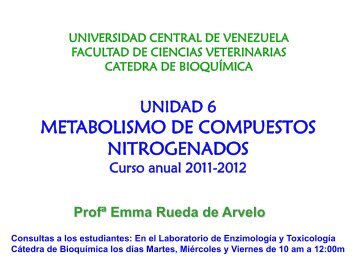 UNIDAD 6.Metabolismo nitrogenado.pdf - Saber UCV - Universidad ...