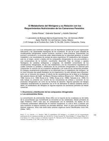 El Metabolismo del Nitrógeno y su Relación con los Requerimientos ...