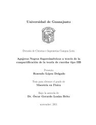 PDF - IFUG - Universidad de Guanajuato