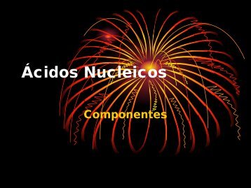 Componentes de Ácidos Nucleicos