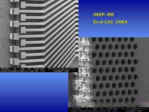 (CNEA). - Ministerio de Ciencia, Tecnología e Innovación Productiva