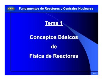 Tema 1 Conceptos Básicos de Física de Reactores
