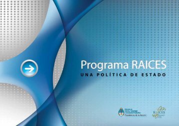 Programa RAICES: una polític - Red de Argentinos Investigadores y ...