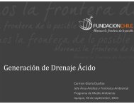 Generación de Drenaje Ácido - Collahuasi