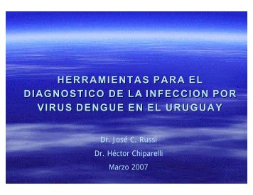 El virus del Dengue