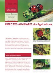101 Insectos Auxiliares da Agricultura - Direcção Regional de ...