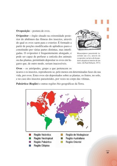 Artropodes Auxiliares na Agricultura - Direcção Regional de ...