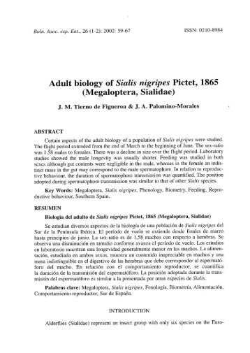 Megaloptera, Sialidae - Asociación española de Entomología