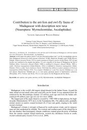 Contribution to the ant-lion and owl-fly fauna of Madagascar with ...