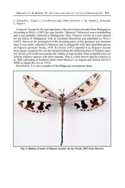 Contribution to the ant-lion and owl-fly fauna of Madagascar with ...