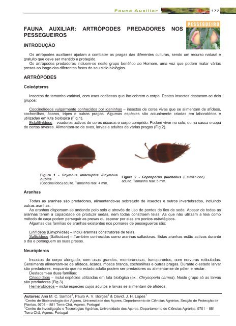 fauna auxiliar - CITA-A - Universidade dos Açores