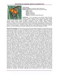 Ficha Tcnica Anastrepha obliqua - cesaveg