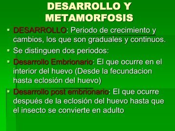 DESARROLLO Y METAMORFOSIS