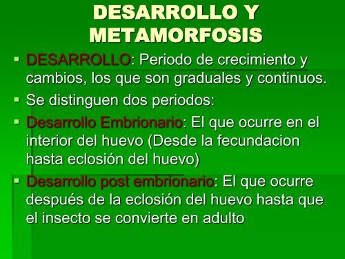 DESARROLLO Y METAMORFOSIS