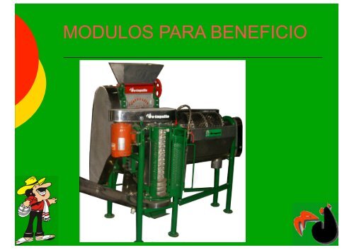 Beneficio Seco de Café JOTAGALLO - COLOMBIA Jun 2012.pps