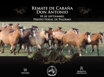 Catalogo Online - Mundo de Caballos