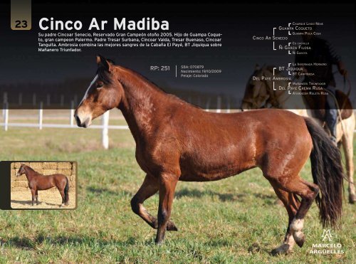 Catalogo Online - Mundo de Caballos