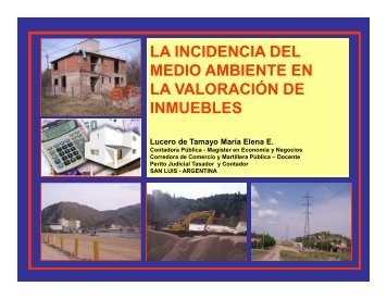 la incidencia del media ambiente en la valoracion - Instituto de ...