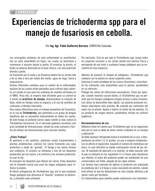 revista 7º fiesta-cebolla 2013.pdf - INTA