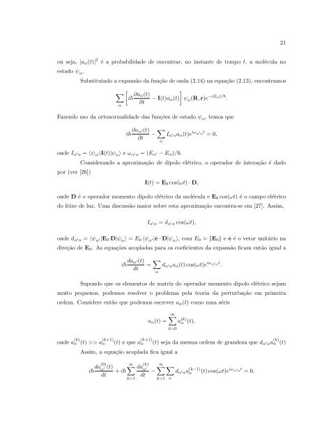 Texto Completo em PDF - Programa de Pós-Graduação em Física ...