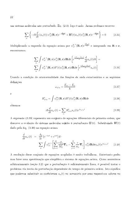 Texto Completo em PDF - Programa de Pós-Graduação em Física ...