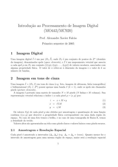 Processamento digital de imagens Transformações Geométricas