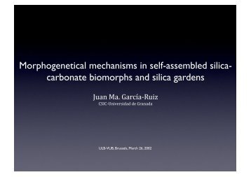 Morphogenetical mechanisms in self-assembled silica- carbonate ...