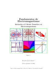 Fundamentos de Electromagnetismo - Universidad de Granada