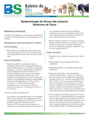 Epidemiología de Virosis del camarón Síndrome de Taura