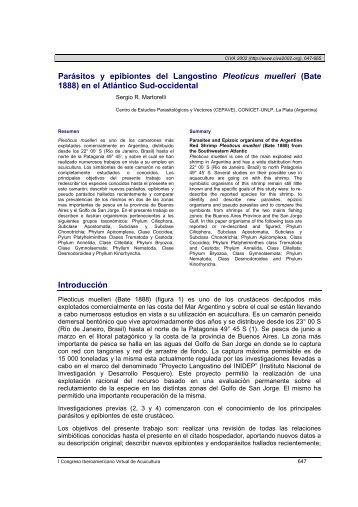 Parásitos y epibiontes del Langostino Pleoticus ... - Revista AquaTIC