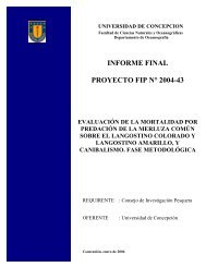 Bajar Informe Final (texto completo) en formato pdf - Fondo de ...