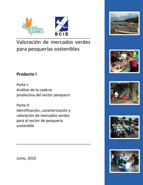 1) Estudio de mercado Negocios Verdes (BCIE) Espejos Para 405 Ropa, Calzados y Accesorios en Mercado