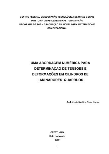 ANDRÉ LUIZ MARTINS PIRES HORTA - Modelagem Matemática e ...