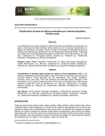 Clasificación de tipos de daños producidos por insectos forestales ...