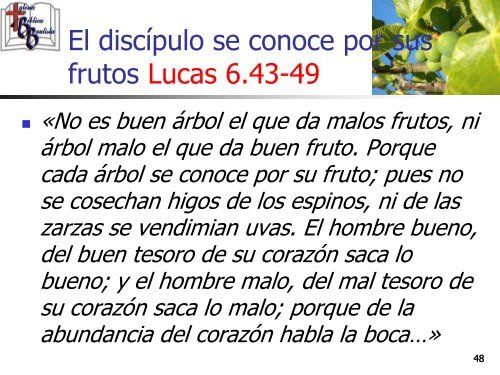 Enseñanzas para los Discípulos - Iglesia Biblica Bautista de ...