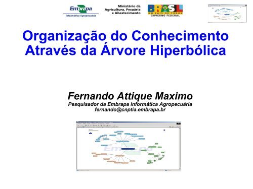 Árvore hiperbólica - Projetos e Redes do Macroprograma 1 - Embrapa