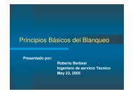 Principios Básicos del Blanqueo