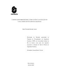 i COPPE/UFRJ A MODELAGEM HIDRODINÂMICA COMO AUXÍLIO ...