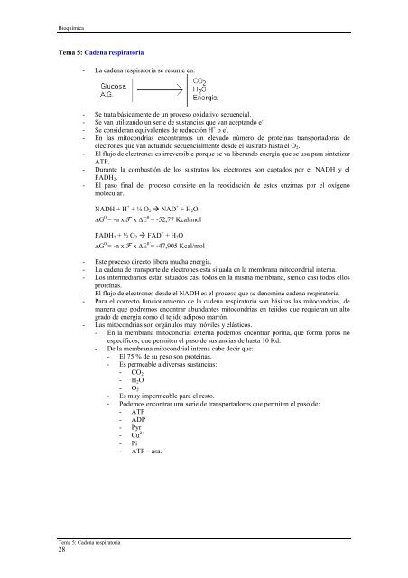 Tema 1: Aminoácidos y proteínas