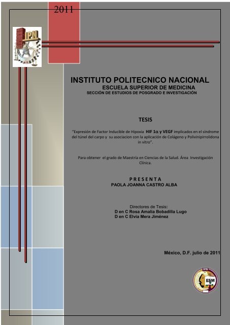 Ver/Abrir - Repositorio Digital - Instituto Politécnico Nacional