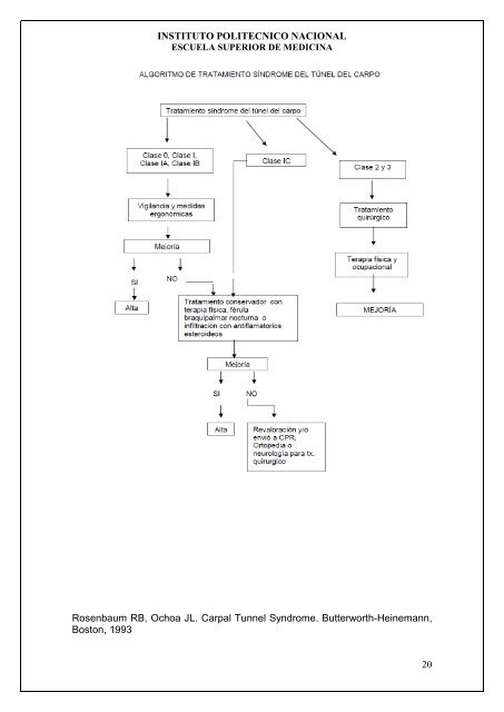 Ver/Abrir - Repositorio Digital - Instituto Politécnico Nacional