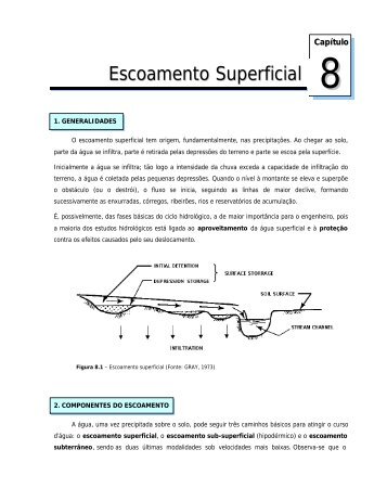 Escoamento Superficial