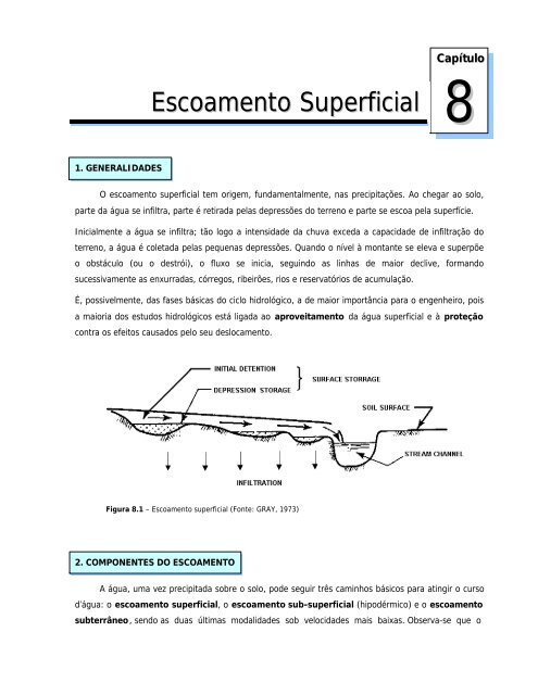 Escoamento Superficial