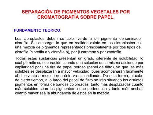 Separacion De Pigmentos Vegetales Por Cromatografia Sobre Papel