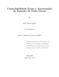 Controlabilidade Exata e Aproximada da Equação da Onda Linear