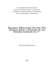 Equações Diferenciais Parciais Não Lineares Sobre a Fronteira de ...